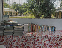 Library books_edited.jpg