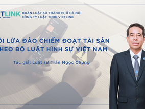 TỘI LỪA ĐẢO CHIẾM ĐOẠT TÀI SẢN THEO BỘ LUẬT HÌNH SỰ VIỆT NAM