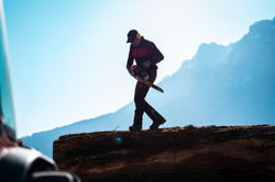 Albin Holzfällung April 2025-29