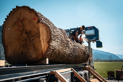 Mobiles Sägewerk von Treesolutions