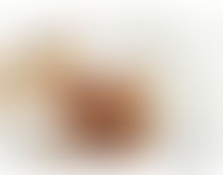 גריסיני איטלקי מקמח חיטה מלא