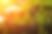 regenerate-the-grass-of-the-field-2026-01-11-10-41-00-utc.jpg