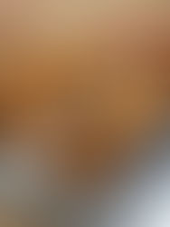 סופגניות (פרווה)