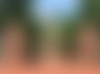 Гид по недвижимости округа Мидлсекс