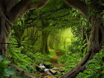 The Incredible Benefits and Spiritual Significance of Trees