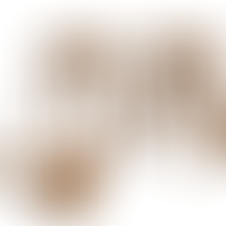 The Foundations of Leadership: Where Does It All Begin?