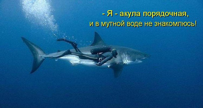 СТРАТАГЕМЫ ЗАПУТЫВАНИЯ ПРОТИВНИКА (ХАОСА). (Заметки о встречах Клуба управленческих поединков.)