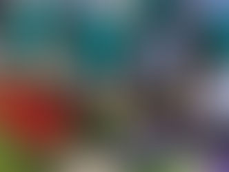 5/25(水)立川風来風流(からふる)通りにて、『花いっぱい・あいさつ運動』がとり行われました!