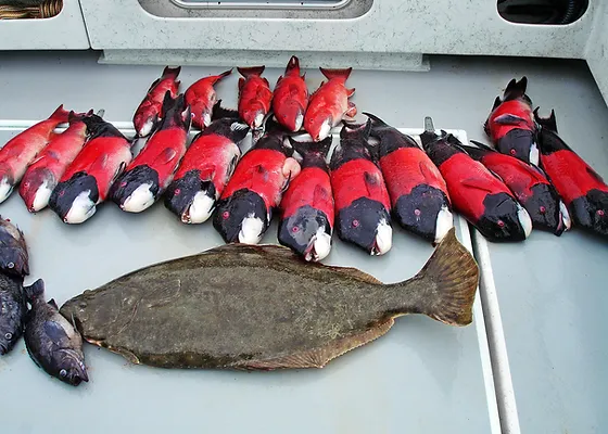 Santa Barbara Sea Charters Sport Fishing Charters