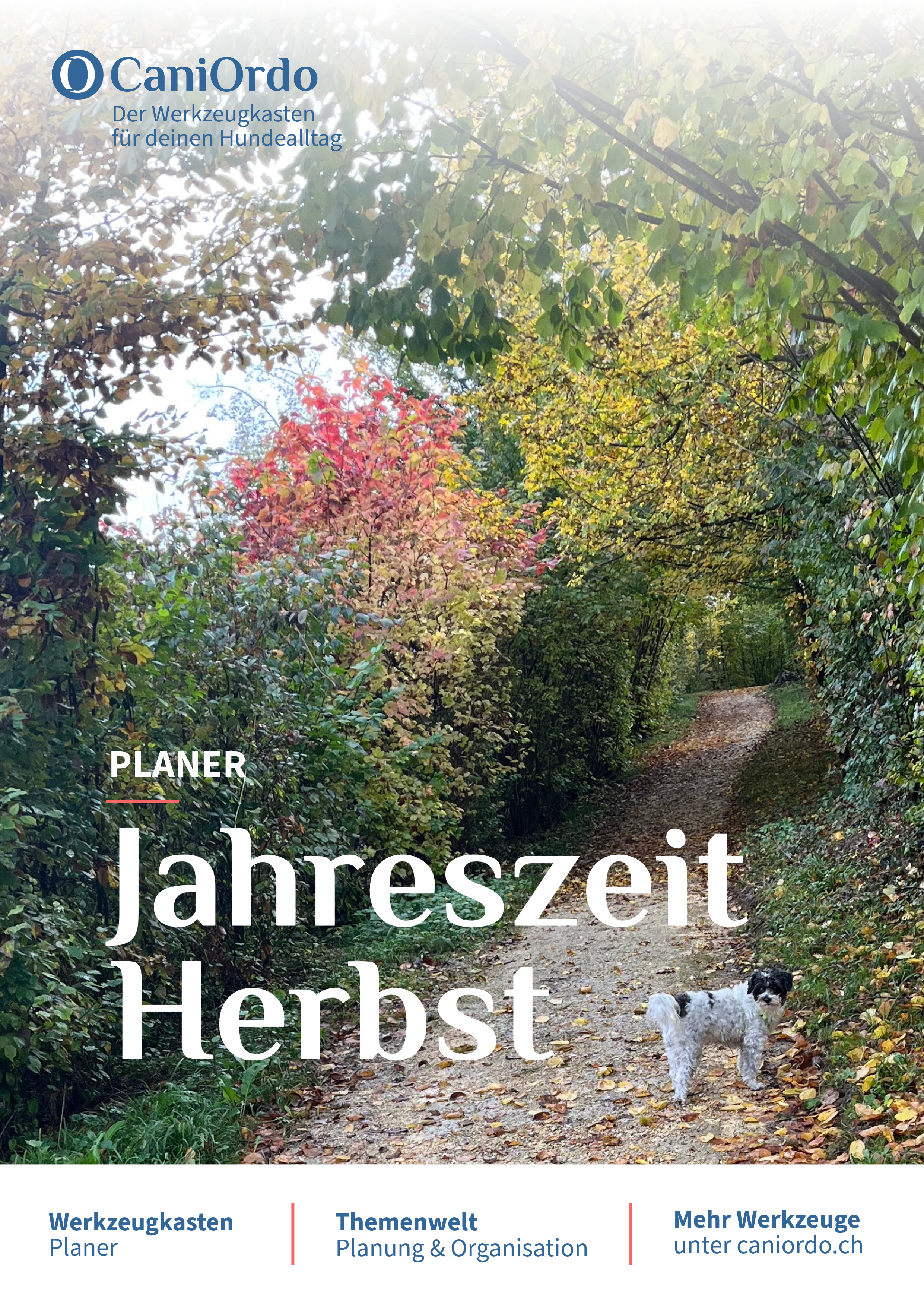 Planer "Jahreszeit Herbst" | Digitales Produkt (PDF)