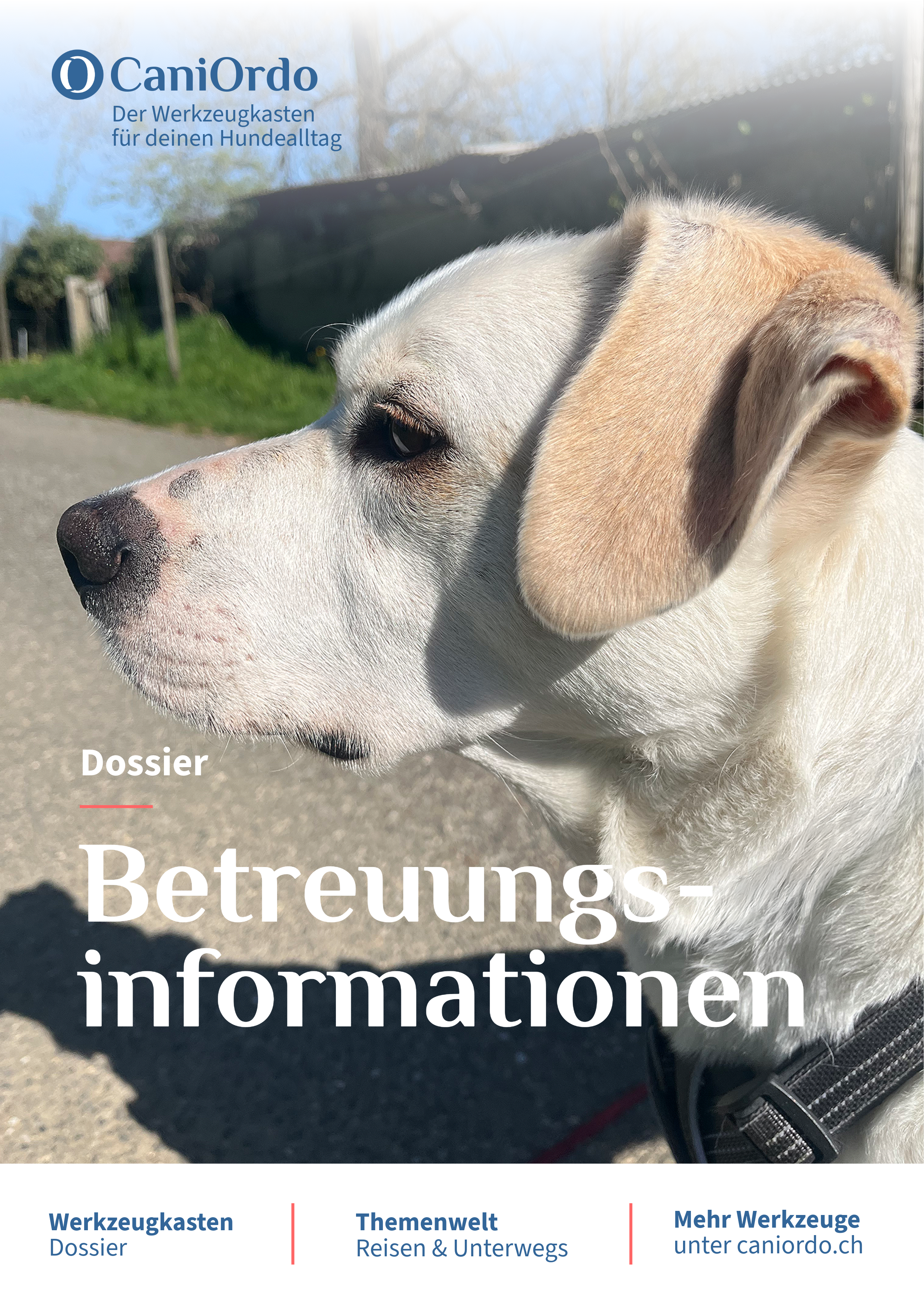 Dossier "Betreuungsinformationen" | Digitales Produkt (PDF)