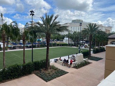 Outdoor area