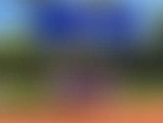 IC NLC gegen Waidberg