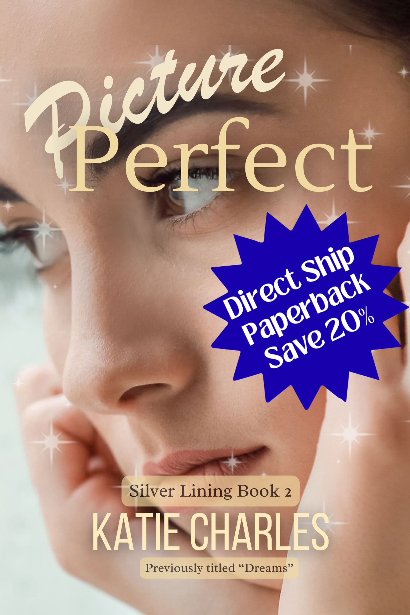 Picture Perfect (Silver Lining Series Book Two)