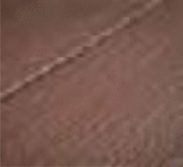 Brazilian Blend.png