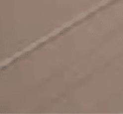 Mesquite.png