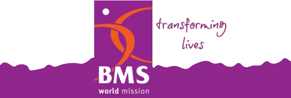 BMS strip.png
