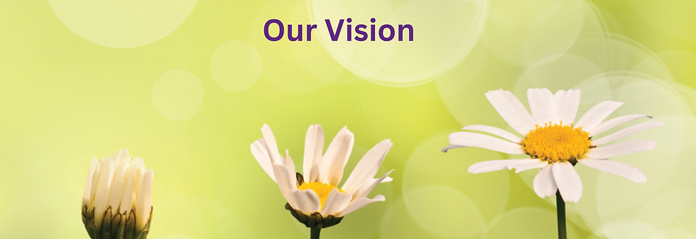 Vision (1).png
