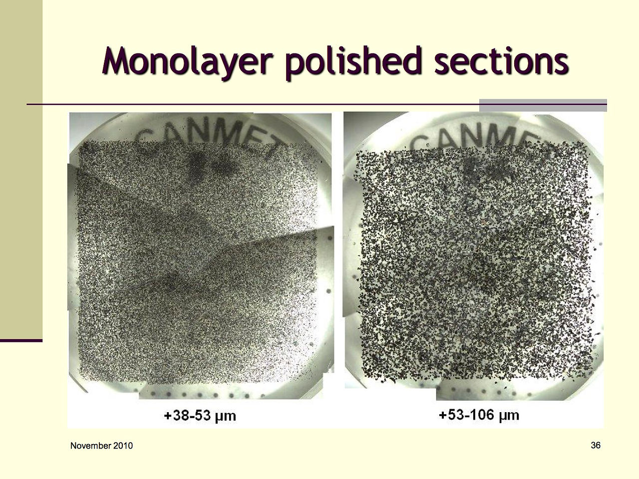 Monolayer polished sections