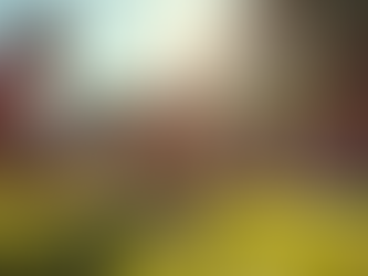 Top Tips for International Students in San Diego