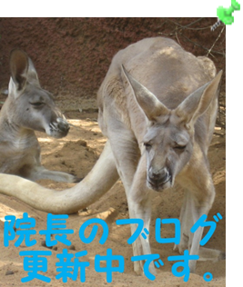 院長もブログ中!