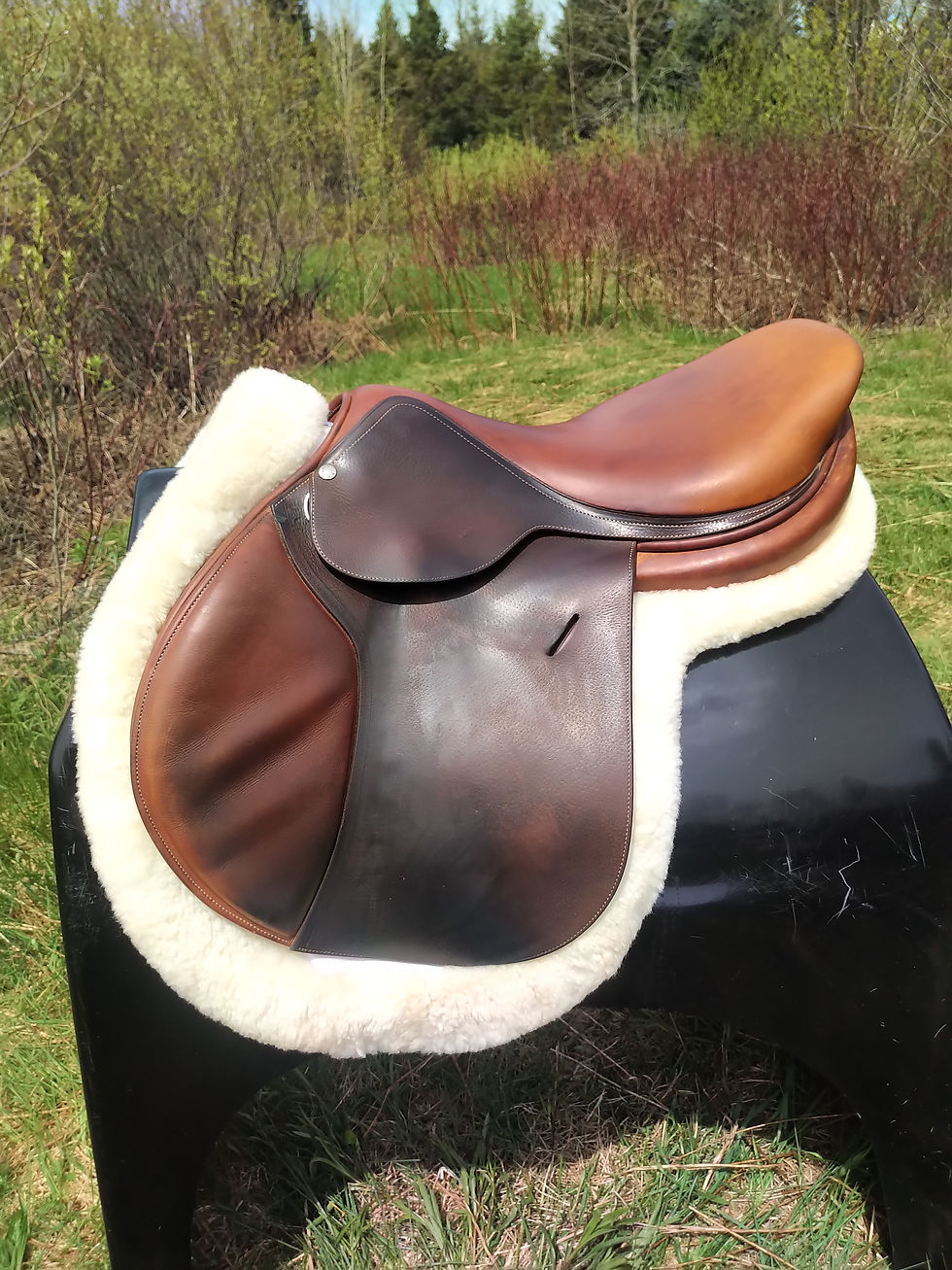 18" Butet Saddle - 2012 - M Seat - 2.50 Flaps - 4" Dot to Dot