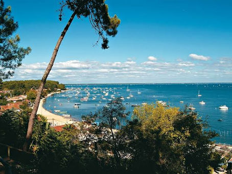 Conciergerie ou agence immobilière au Bassin d'Arcachon : que choisir pour sa location saisonnière