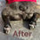 Thumbnail: Dog's hindquarters with the text "After" on the concrete surface.