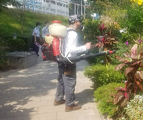 安承環境服務 滅蟲 滅蟲 除甲醛 清潔