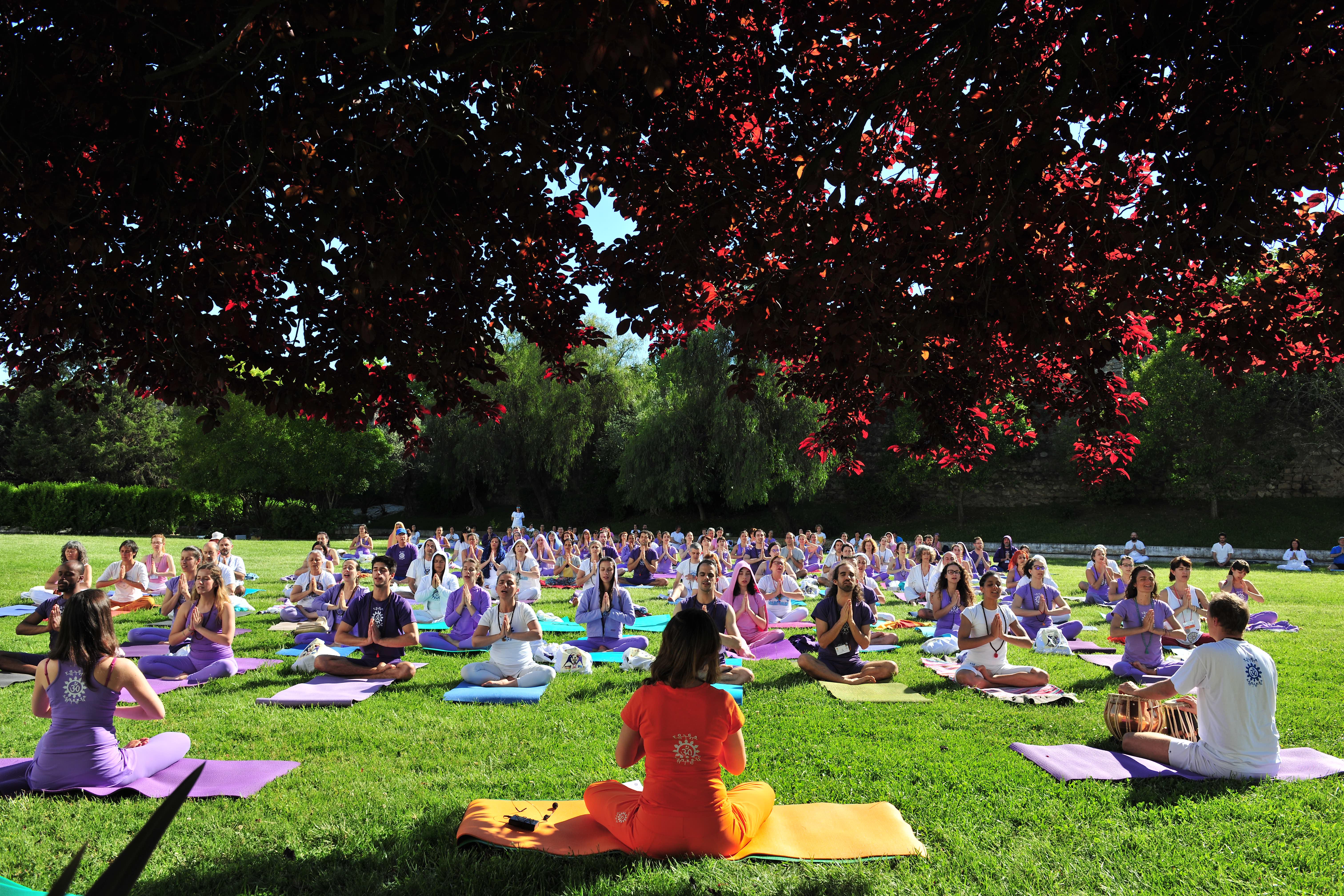 X Congresso Ibérico do Yoga