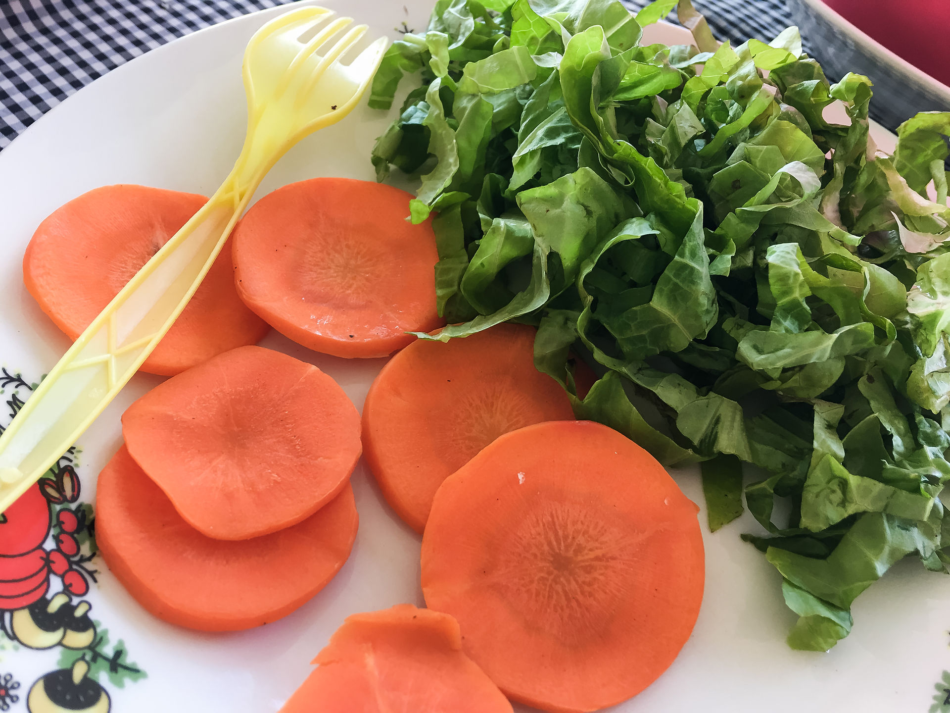 Organic slices of carrots and lettuce at The best farm to table and agritourism experience in Viñales, Cuba. ©AlonzoWright for Manifesting Travel