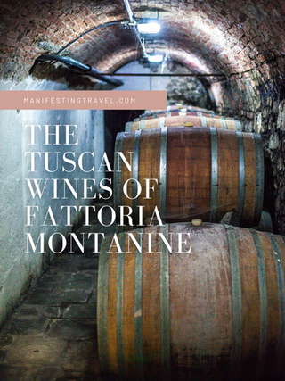 The Tuscan wines of Fattoria Montanine