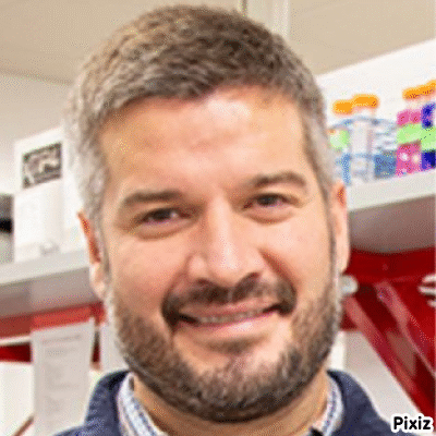 Castro's Transition.gif