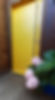 20211223_151516_edited.jpg