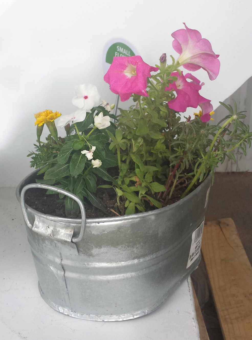 DIY: Galvanized Tub Garden