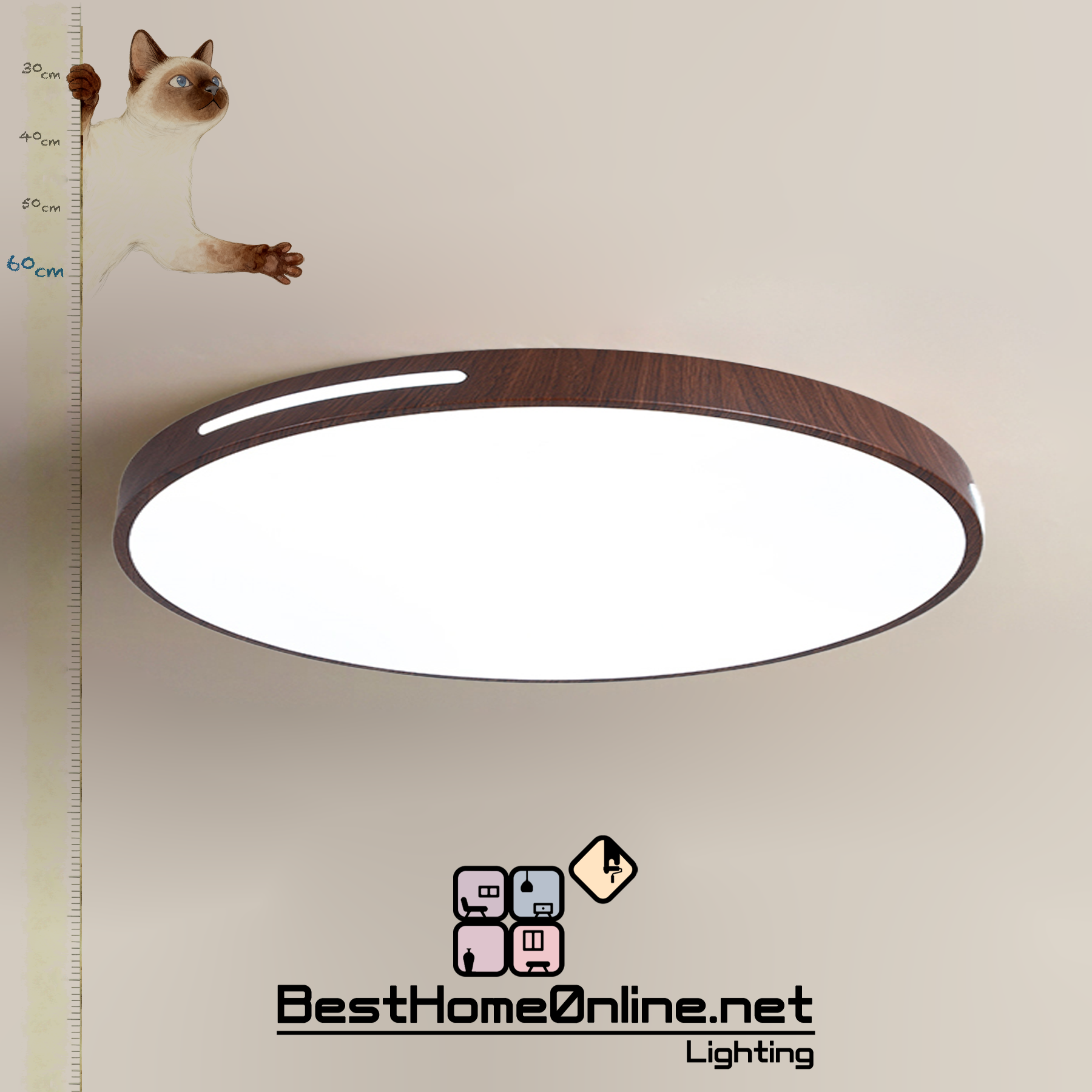 鐵藝燈體 胡桃圓通六十 精品貼頂燈 香港包送貨安裝 半年保養 | 香港商業照明LED燈批發安裝