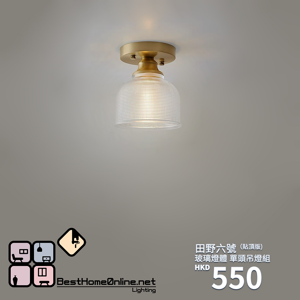 玻璃燈體 田野六號(貼頂版) 單頭吊燈組 包送貨安裝 半年保養