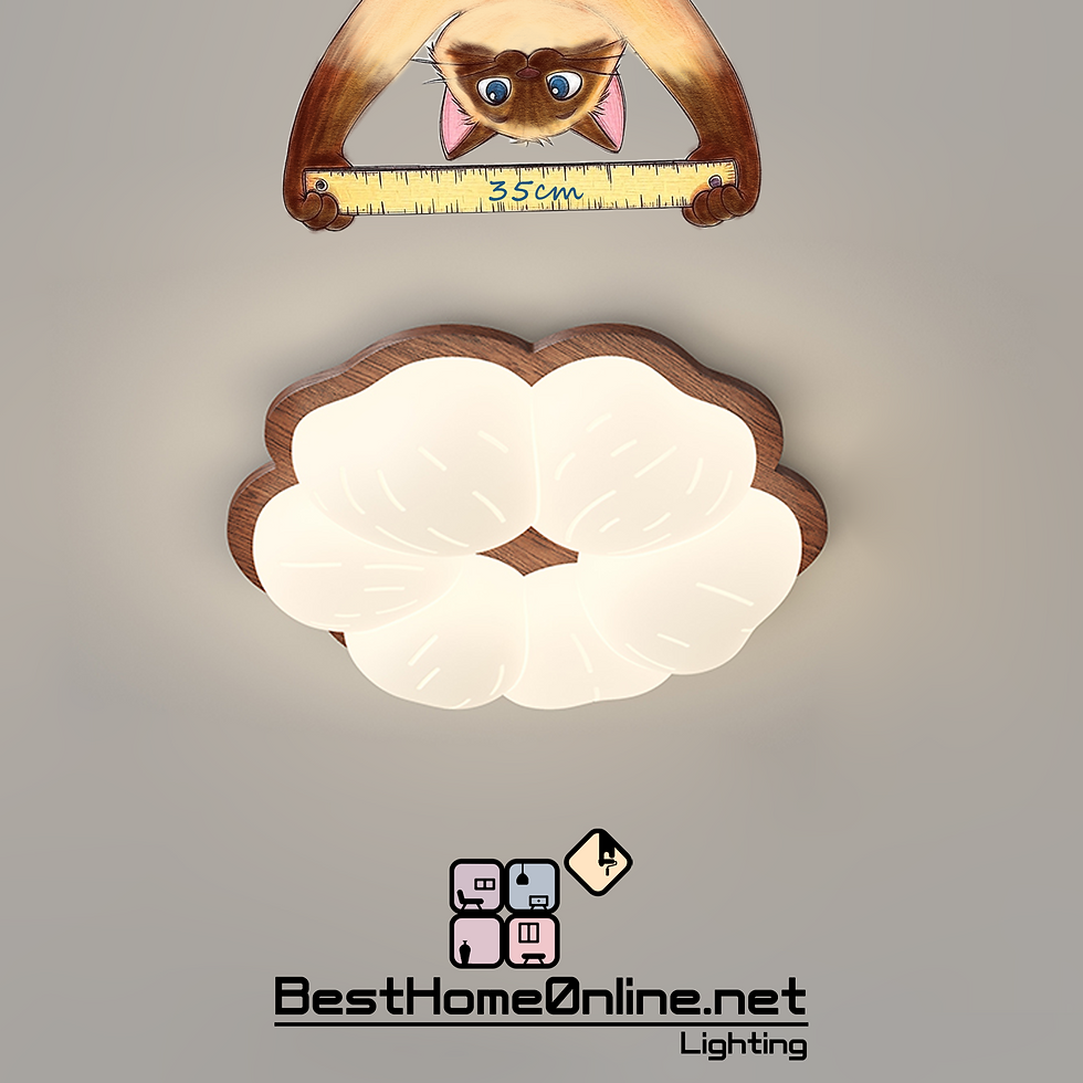 塑料造型 中號胡桃樹莓 精品貼頂燈 包送貨安裝 半年保養