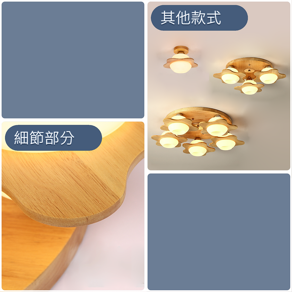 縮圖：玻璃燈體 花開 單頭吊燈 包送貨安裝 半年保養