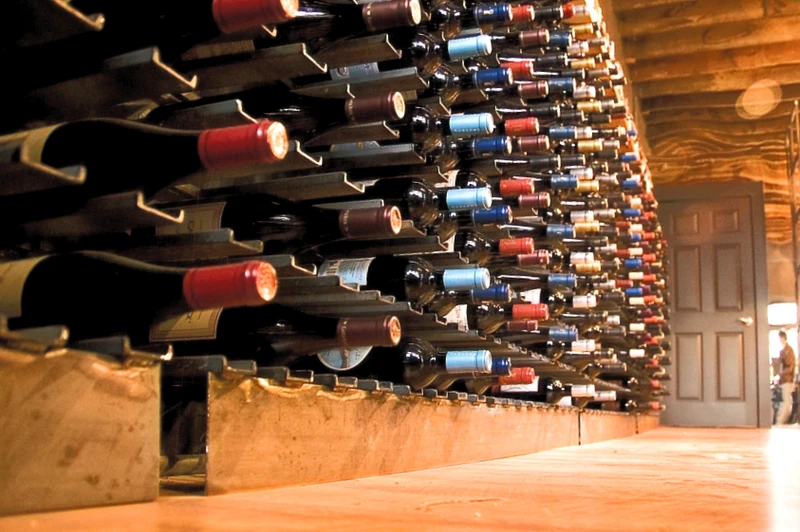 el fascinante mundo del vino