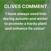 Complex fe Iron Comment.png