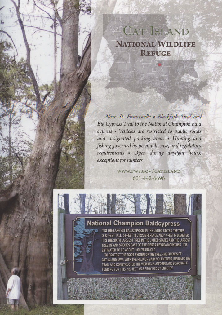 Thumbnail: Louisiana Swamps and Marshes: Easy-Access Hikes and Drives