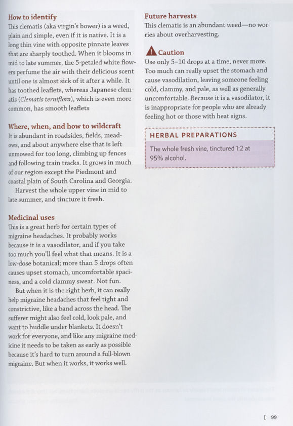 Thumbnail: Southeast Medicinal Plants