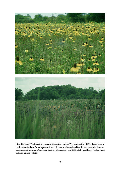 Thumbnail: The Cajun Prairie: A Natural History