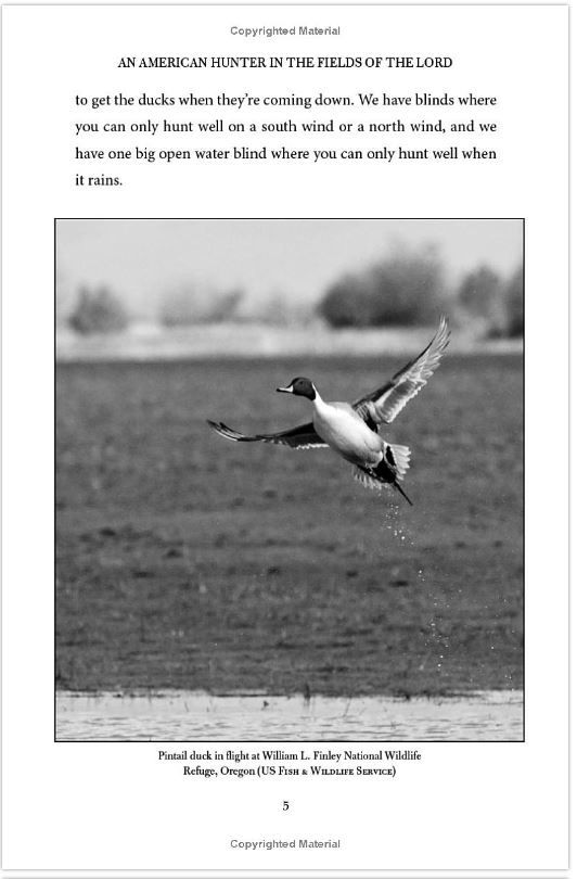 Thumbnail: American Hunter: How Legendary Hunters Shaped America