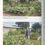 Thumbnail: The Louisiana Urban Gardener: A Beginner's Guide to Growing Vegetables and Herb