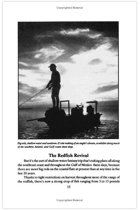 Thumbnail: The Redfish Book: A Complete Anglers Guide
