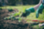 horticulture.jpeg