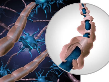 Exploring the Incredible Benefits of Beta-caryophyllene