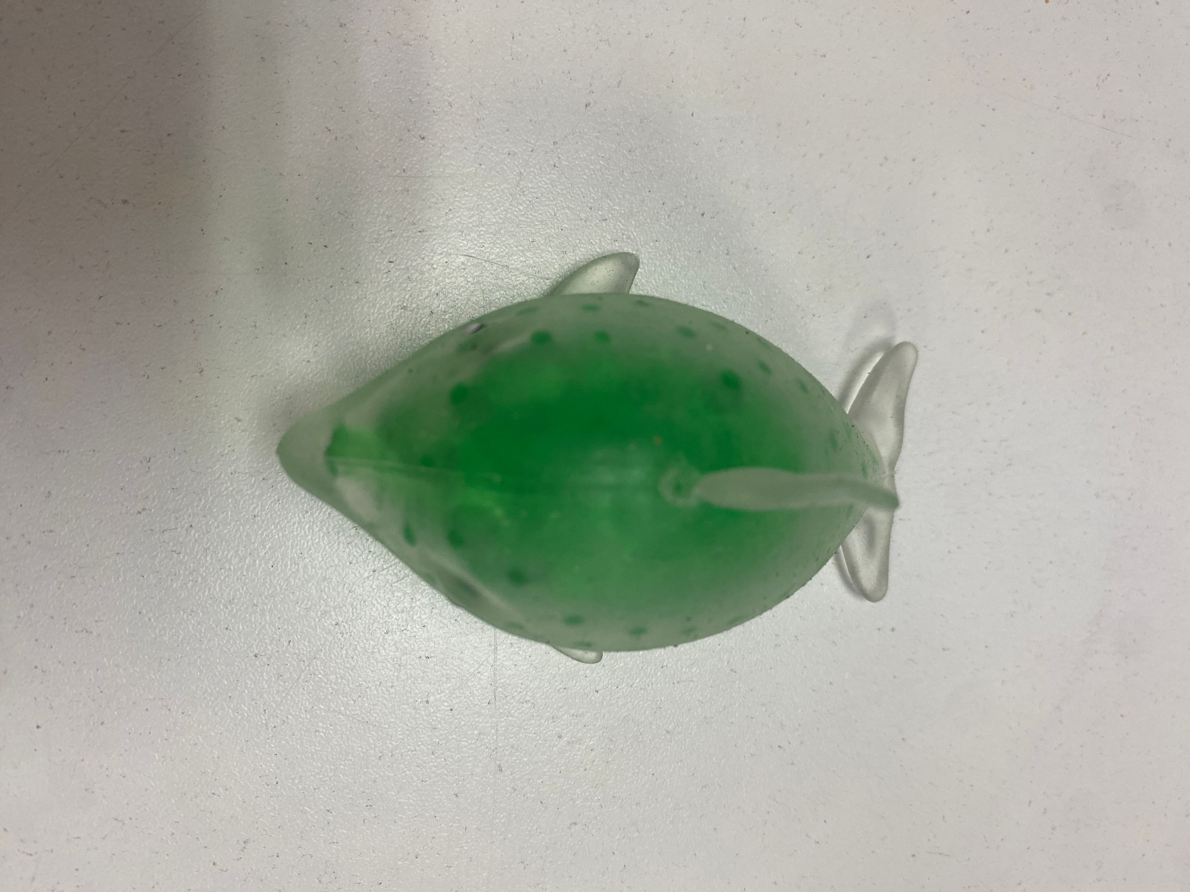 Animaux de la mer avec bille